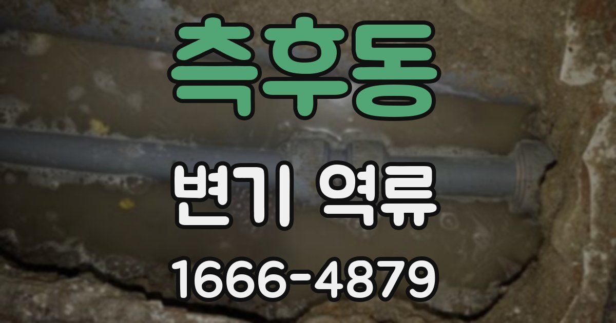 측후동 변기 역류