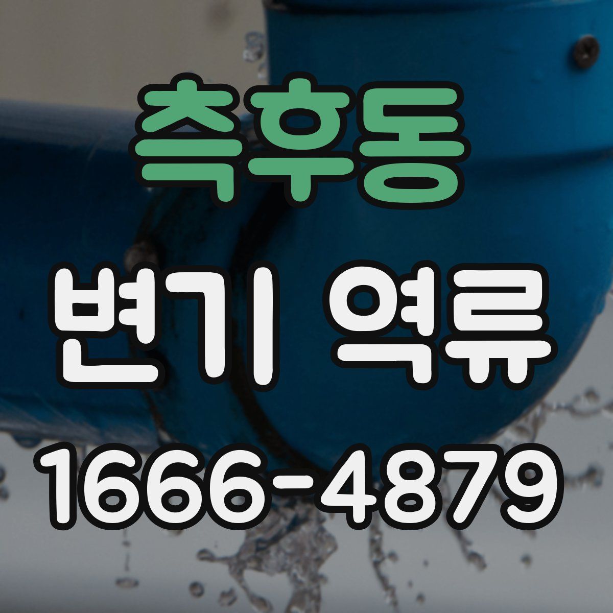 측후동 변기 역류
