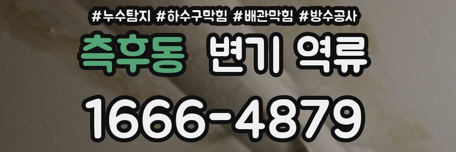 측후동 변기 역류