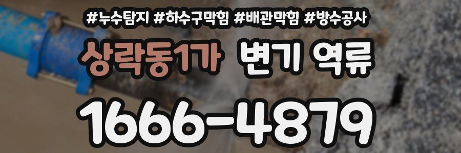 상락동1가 변기 역류