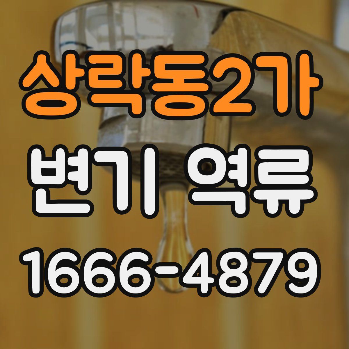 상락동2가 변기 역류