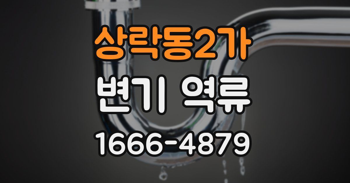 상락동2가 변기 역류