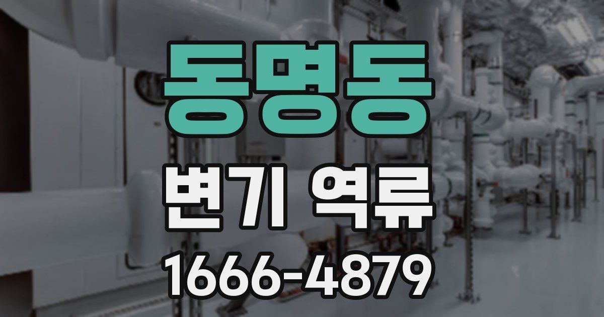 동명동 변기 역류