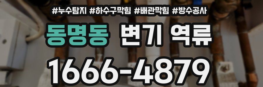 동명동 변기 역류