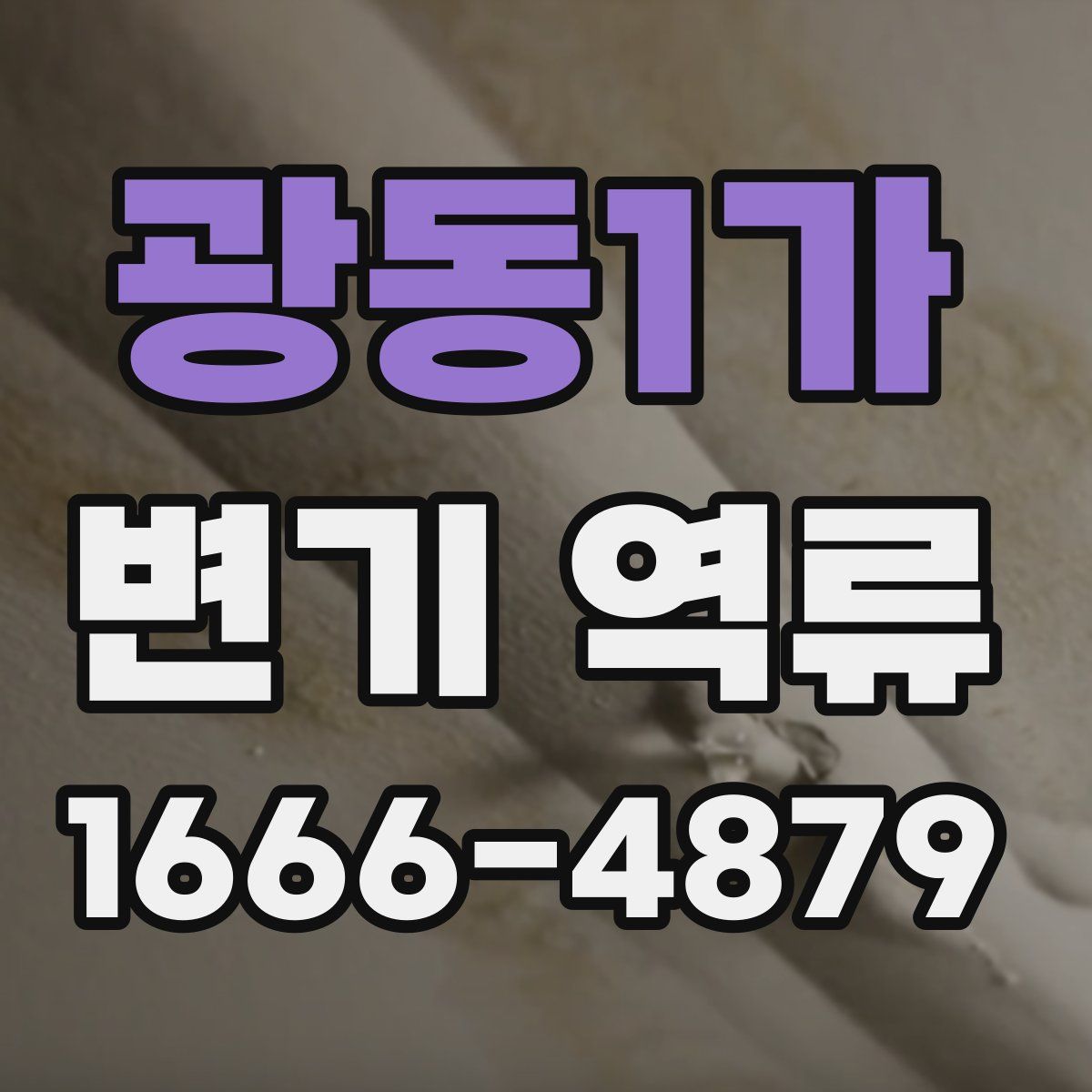광동1가 변기 역류
