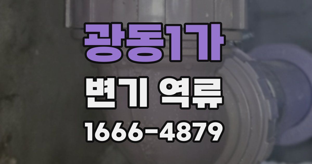 광동1가 변기 역류