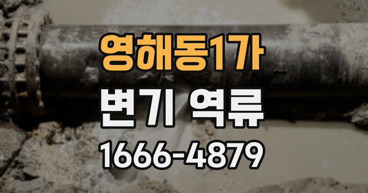 영해동1가 변기 역류