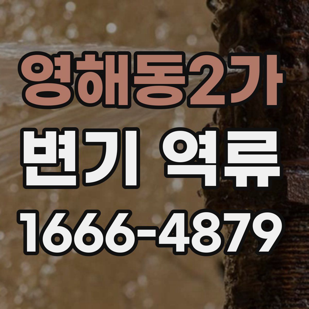 영해동2가 변기 역류