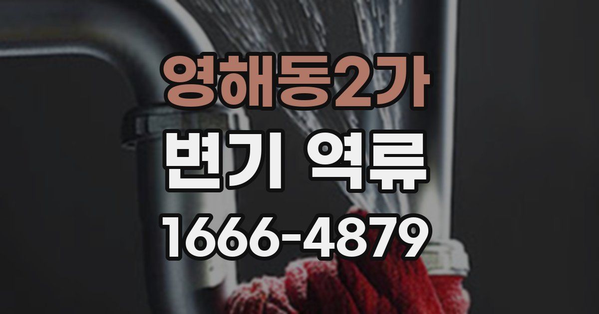 영해동2가 변기 역류