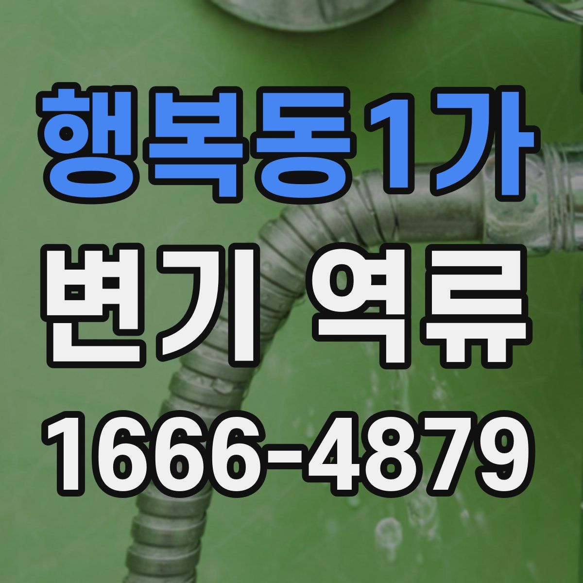 행복동1가 변기 역류
