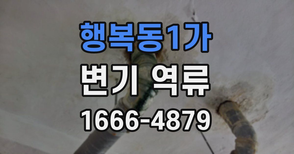 행복동1가 변기 역류