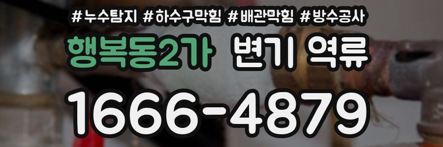 행복동2가 변기 역류