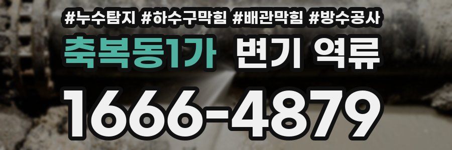 축복동1가 변기 역류