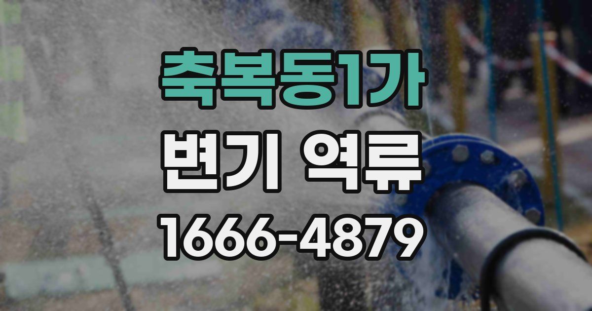 축복동1가 변기 역류