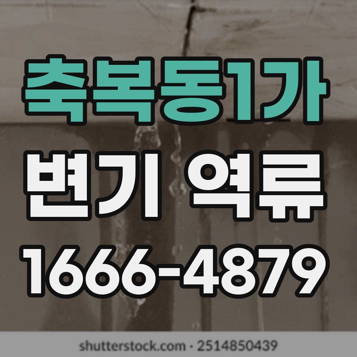 축복동1가 변기 역류