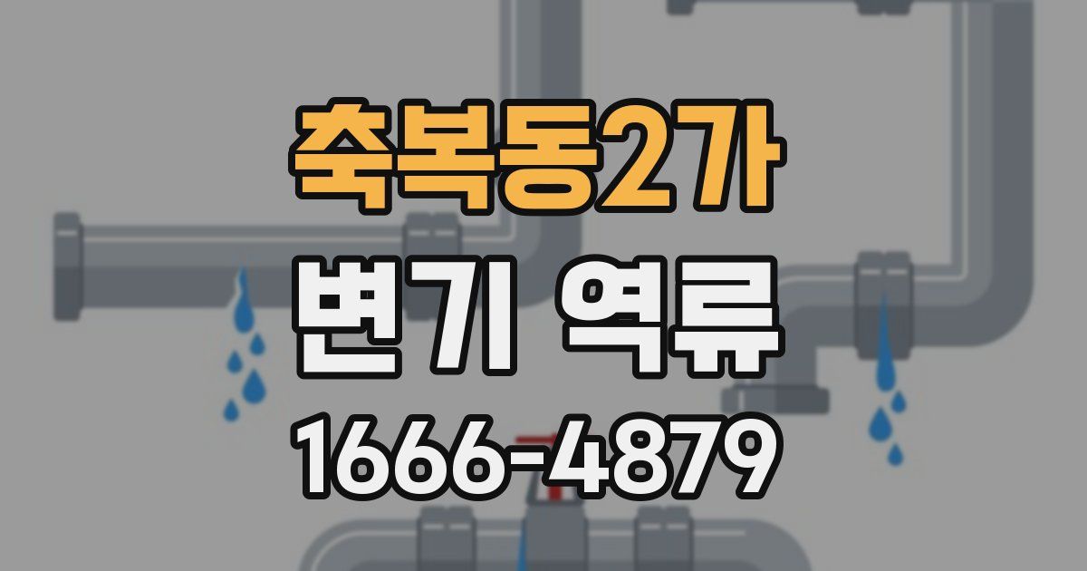 축복동2가 변기 역류