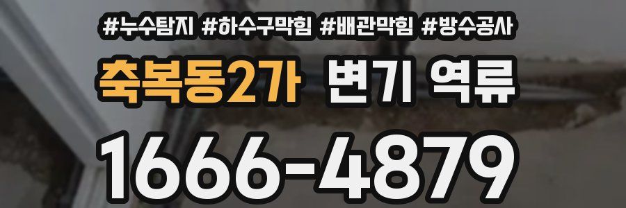 축복동2가 변기 역류