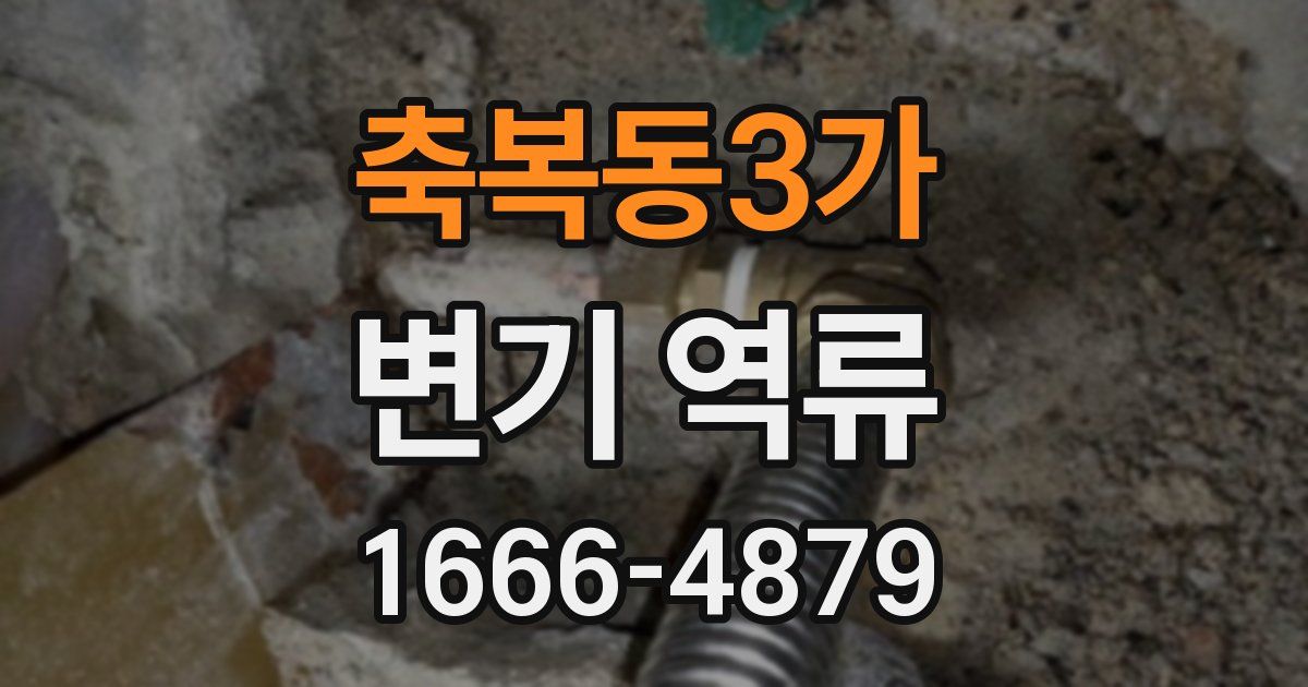 축복동3가 변기 역류