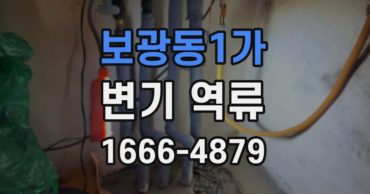 보광동1가 변기 역류
