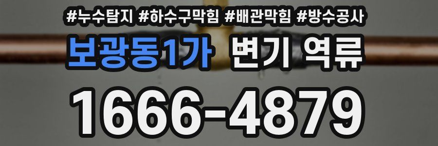 보광동1가 변기 역류