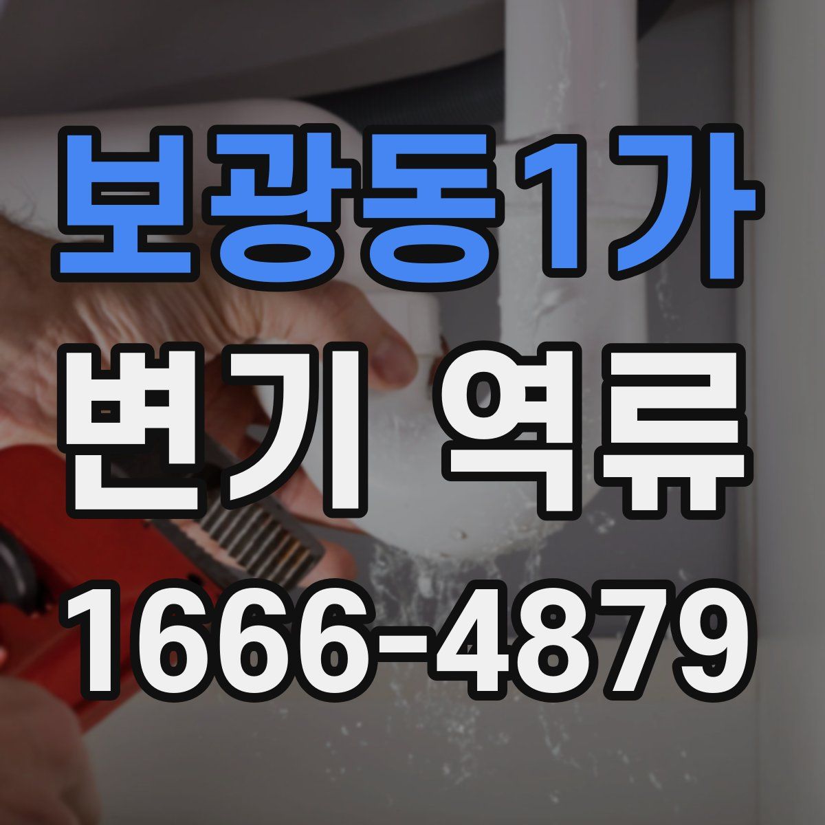 보광동1가 변기 역류