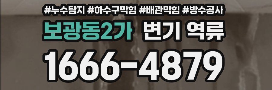 보광동2가 변기 역류
