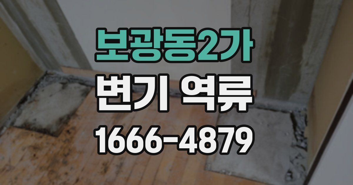 보광동2가 변기 역류