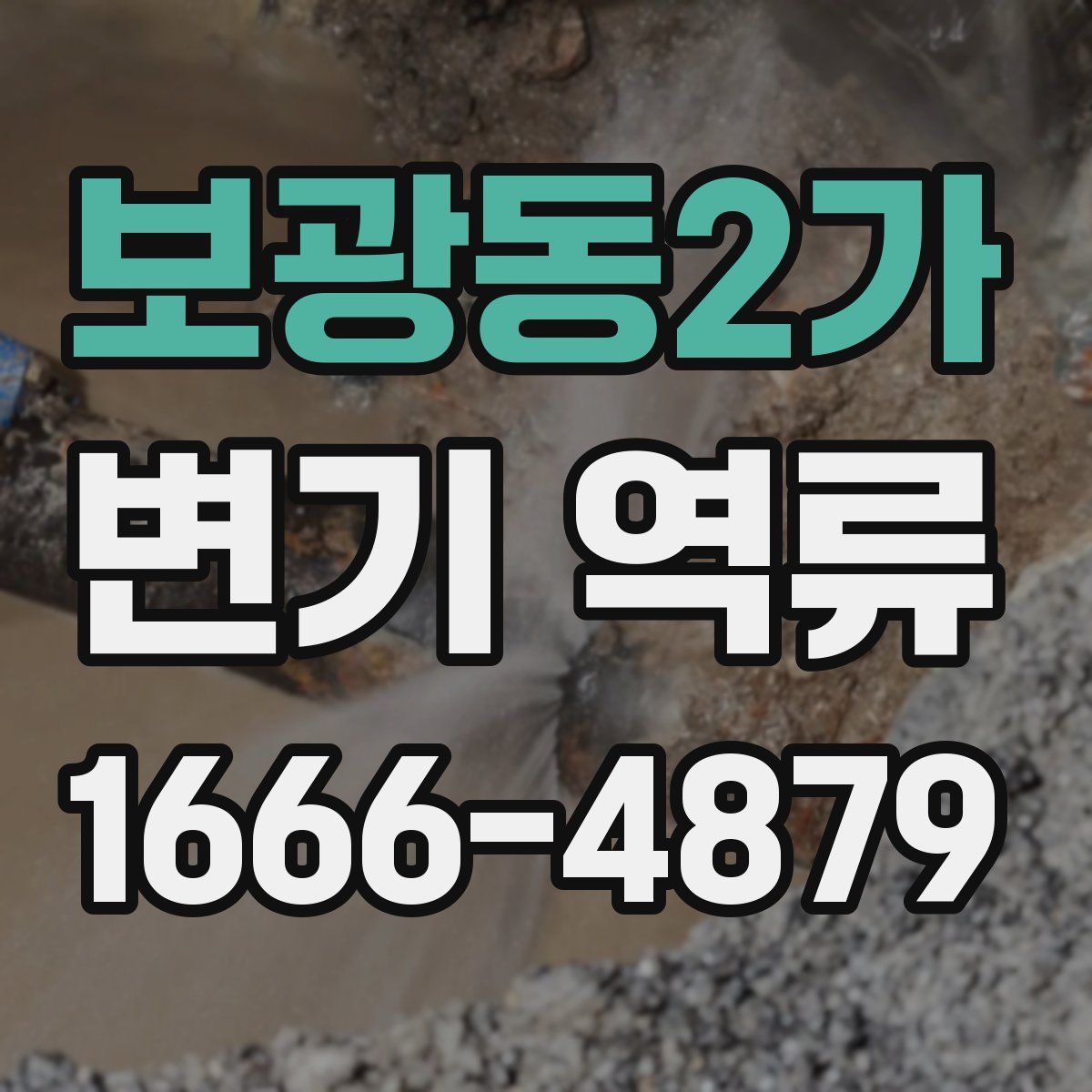 보광동2가 변기 역류