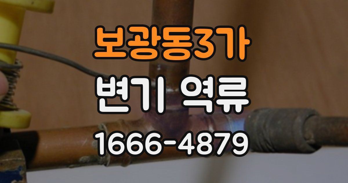 보광동3가 변기 역류
