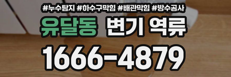 유달동 변기 역류