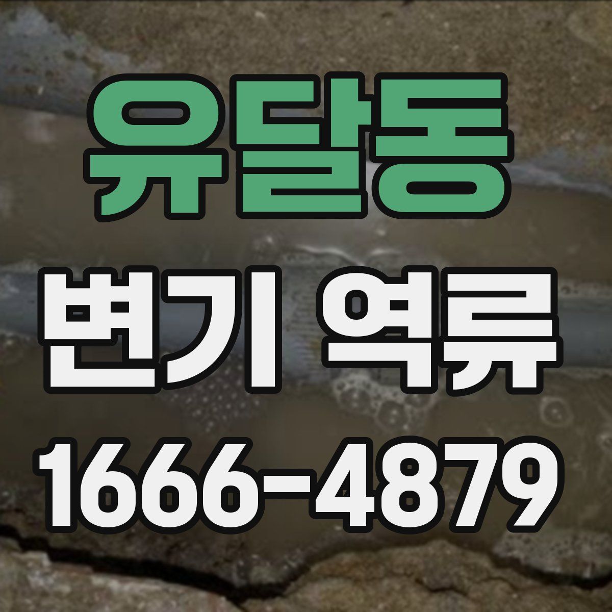 유달동 변기 역류