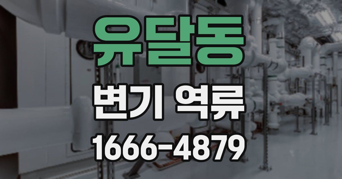 유달동 변기 역류