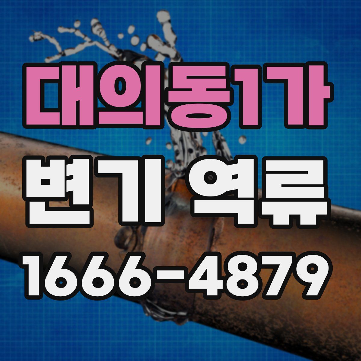 대의동1가 변기 역류