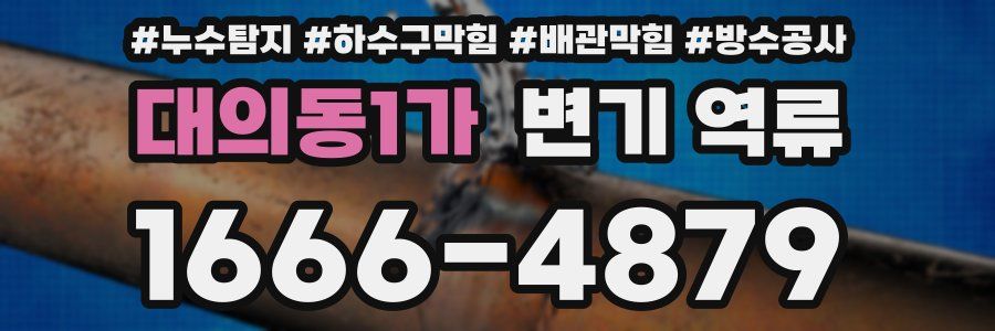 대의동1가 변기 역류