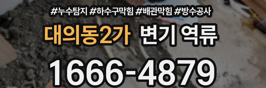 대의동2가 변기 역류