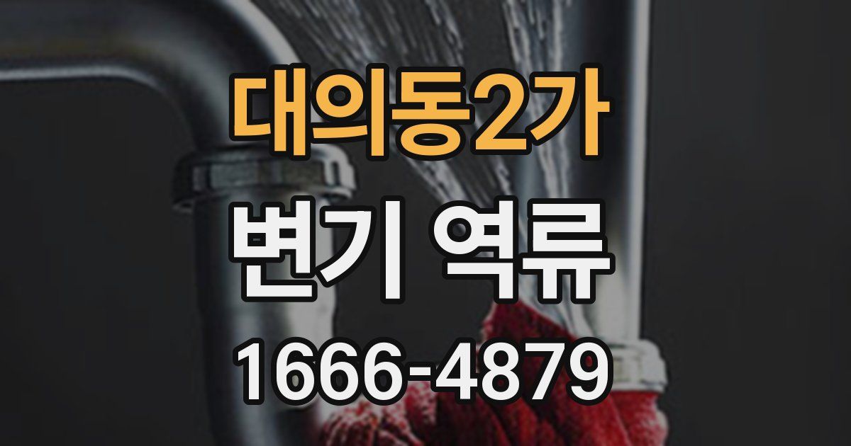 대의동2가 변기 역류