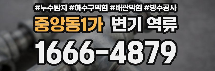 중앙동1가 변기 역류