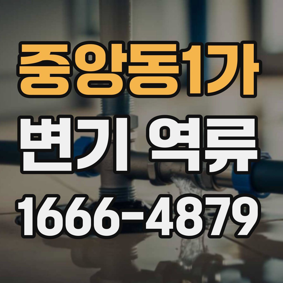 중앙동1가 변기 역류