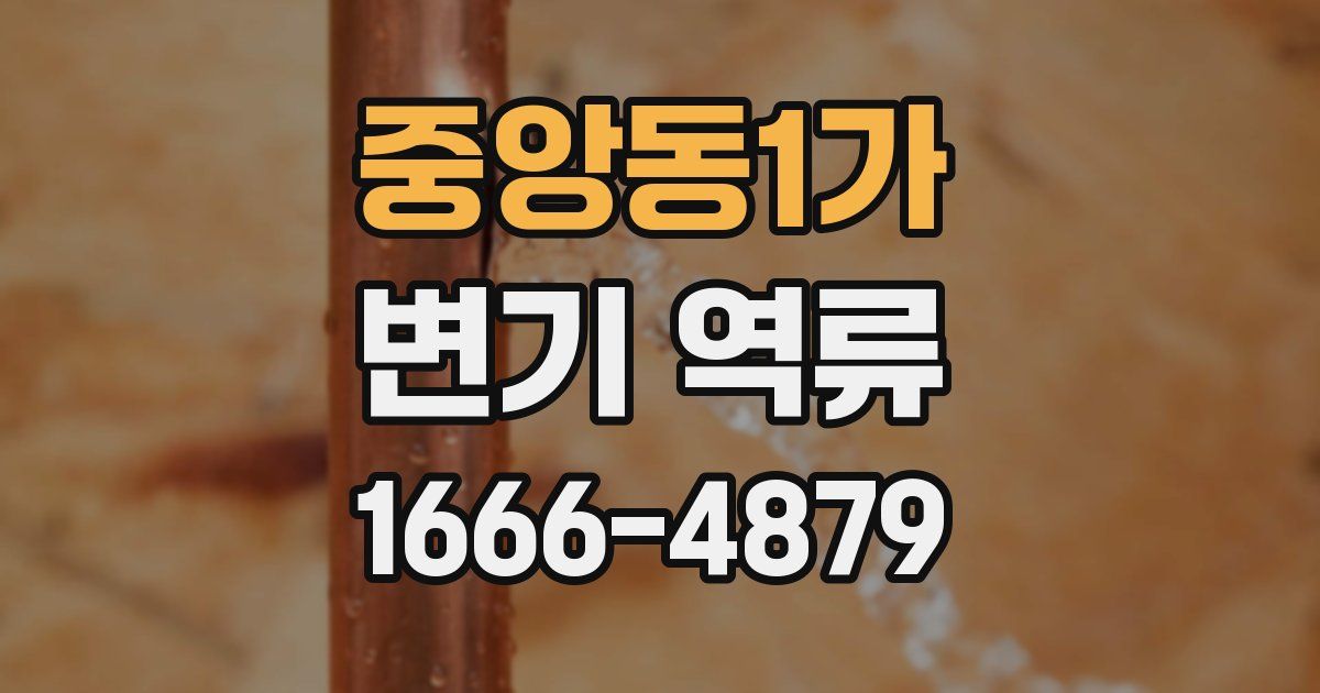 중앙동1가 변기 역류