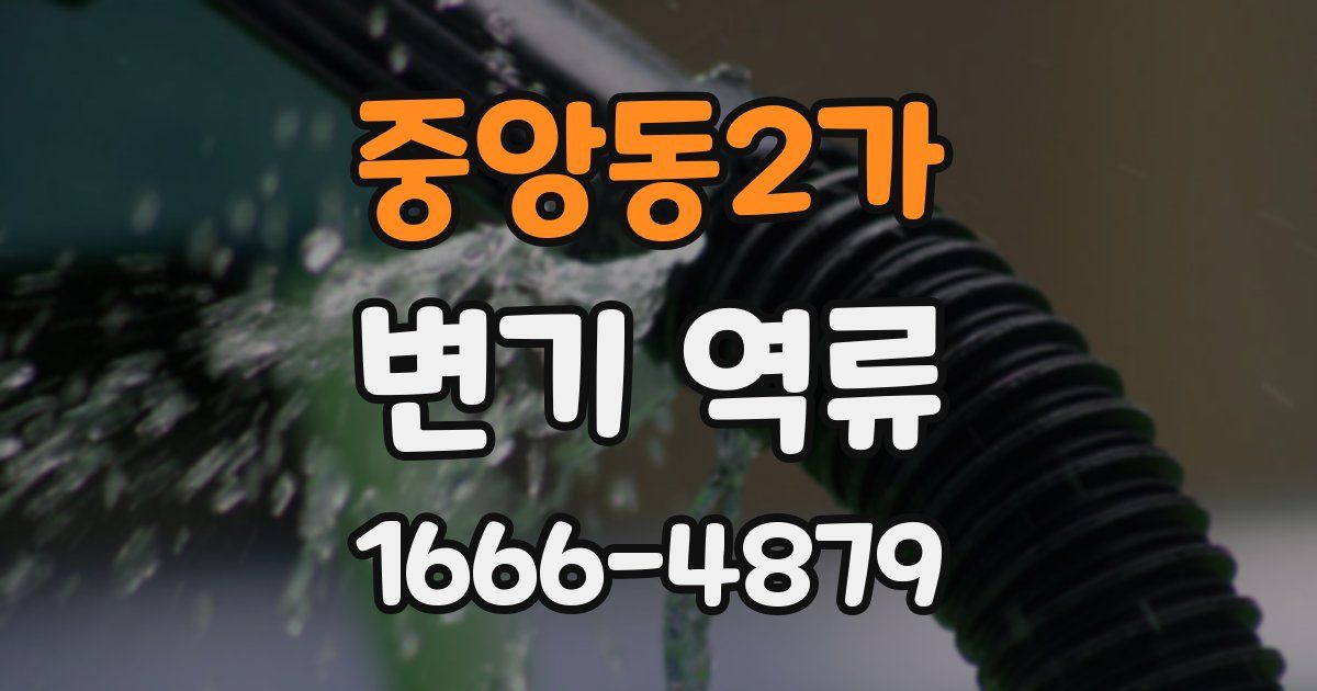 중앙동2가 변기 역류