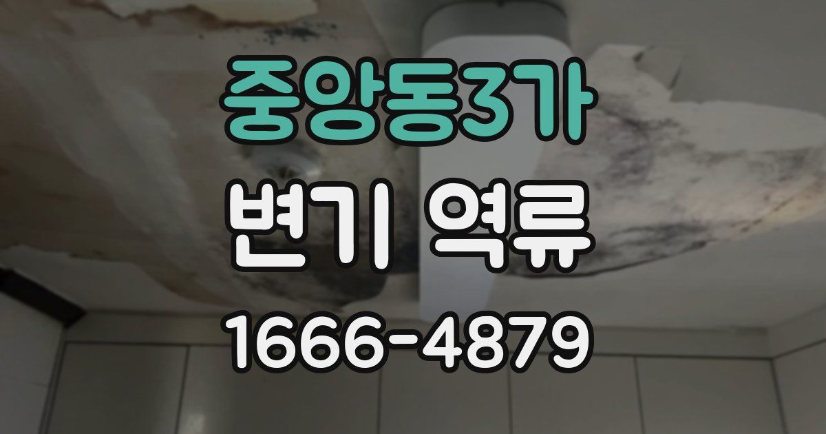 중앙동3가 변기 역류