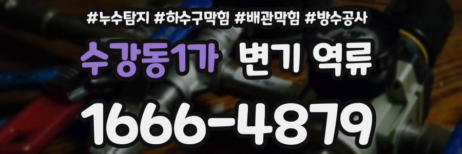 수강동1가 변기 역류
