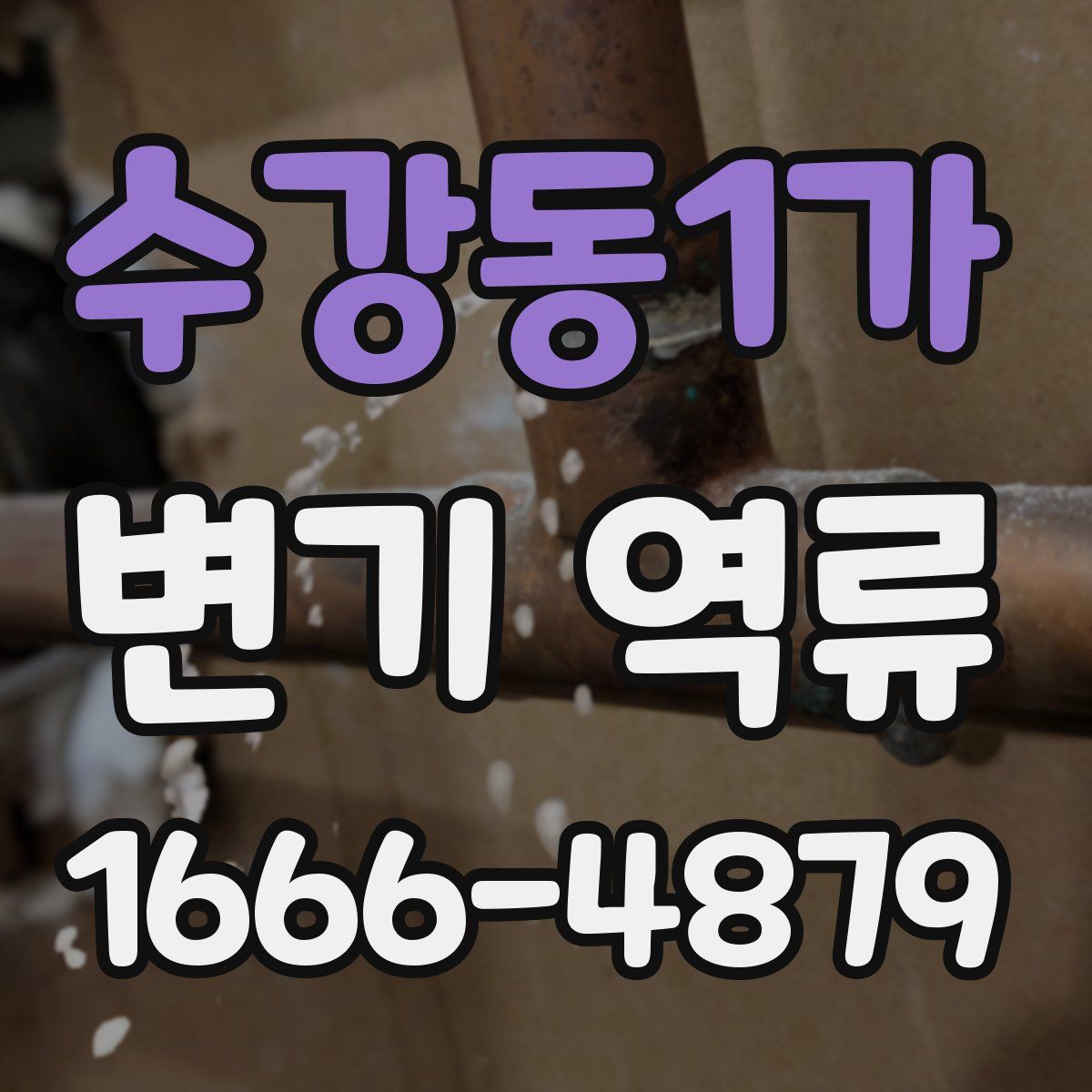 수강동1가 변기 역류