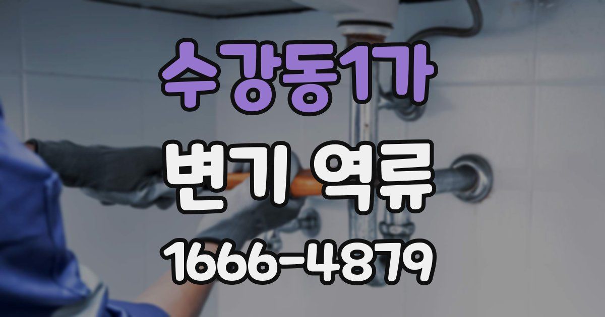수강동1가 변기 역류