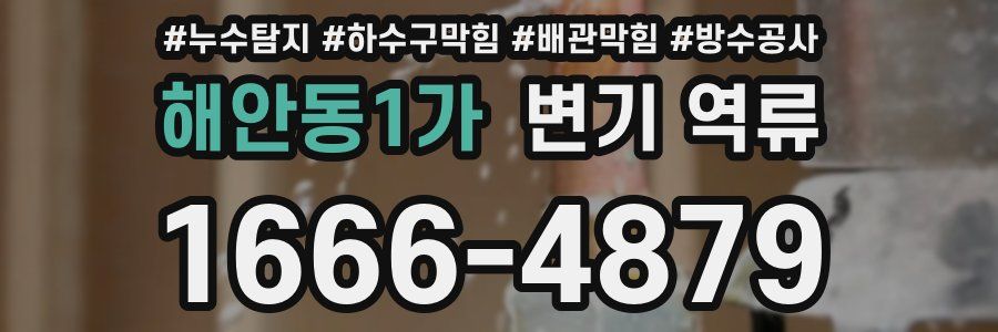 해안동1가 변기 역류