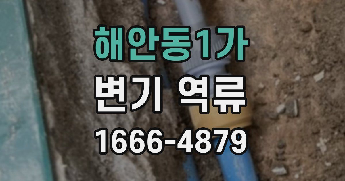 해안동1가 변기 역류