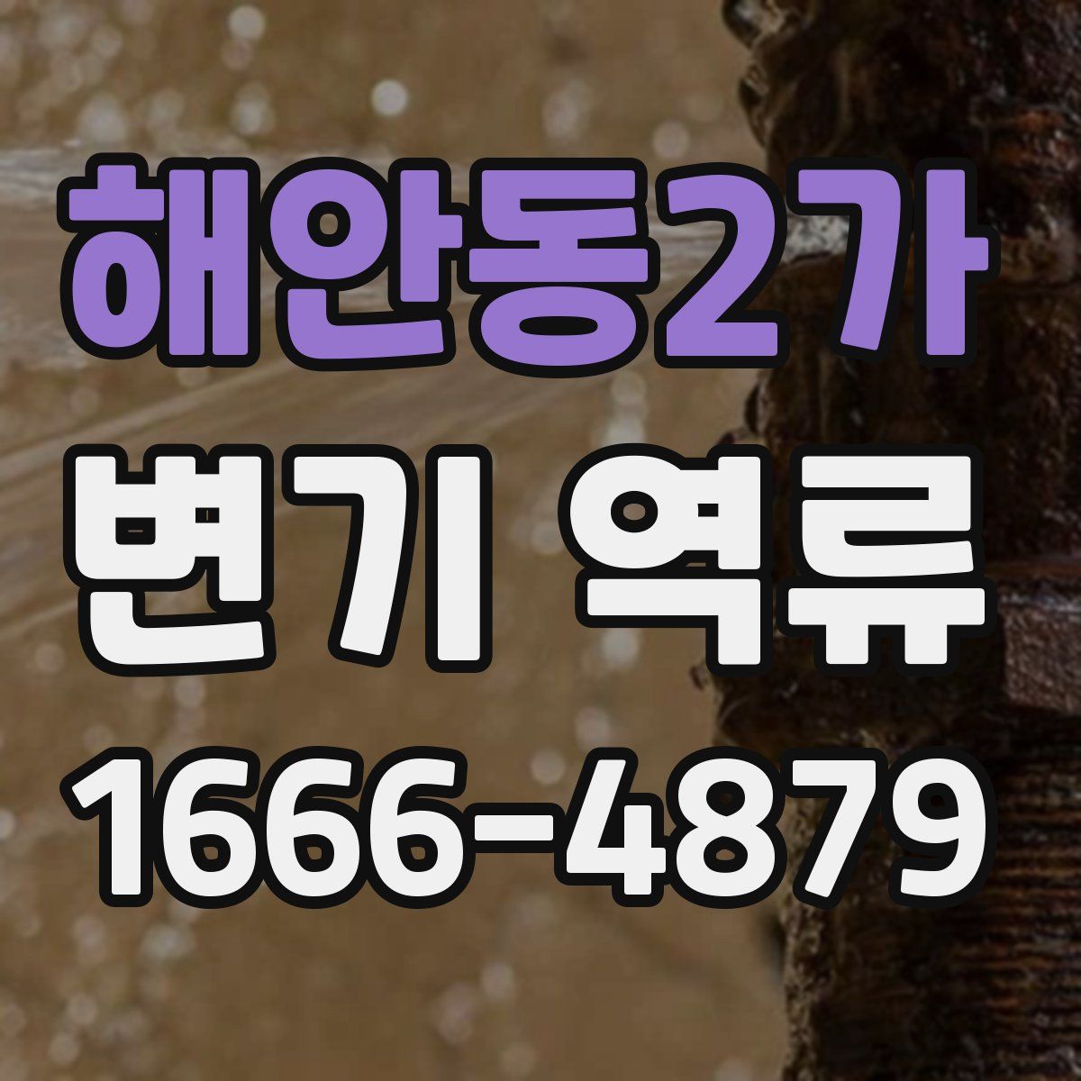 해안동2가 변기 역류