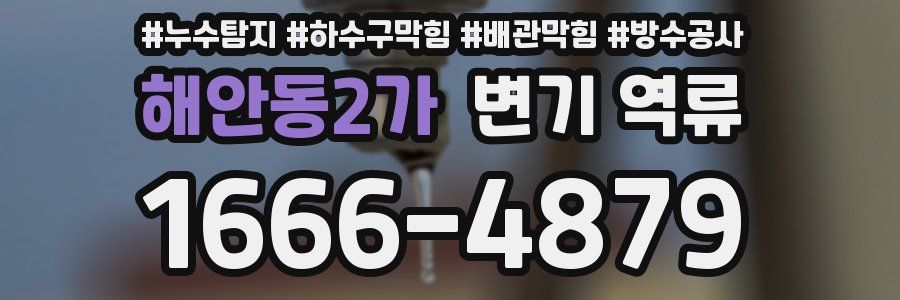 해안동2가 변기 역류