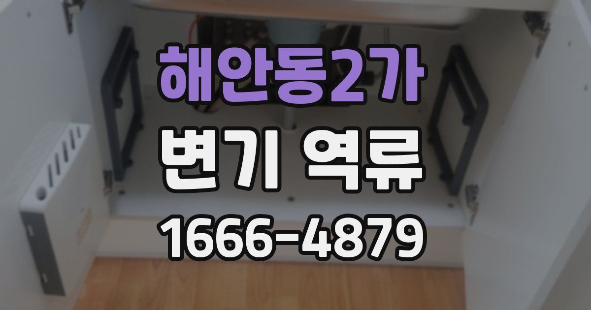 해안동2가 변기 역류