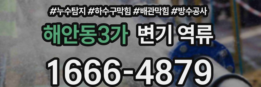 해안동3가 변기 역류
